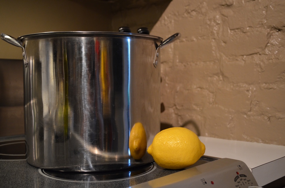 That's a large lemon for size reference